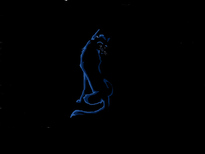 roughly shaded cat.jpg