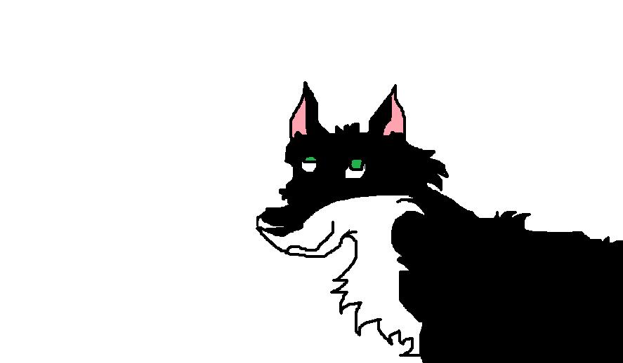 maredith again.jpg