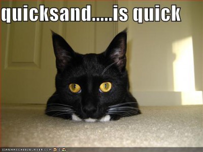 funny-pictures-cat-in-quicksand-carpet.jpg