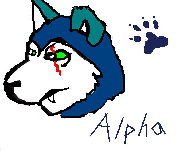 ALPHA.JPG