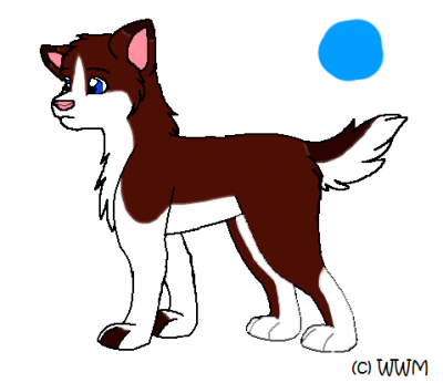 pupp2.png