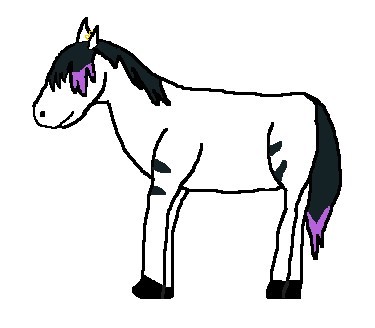 Sasha.jpg