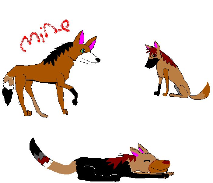maned wolves.PNG
