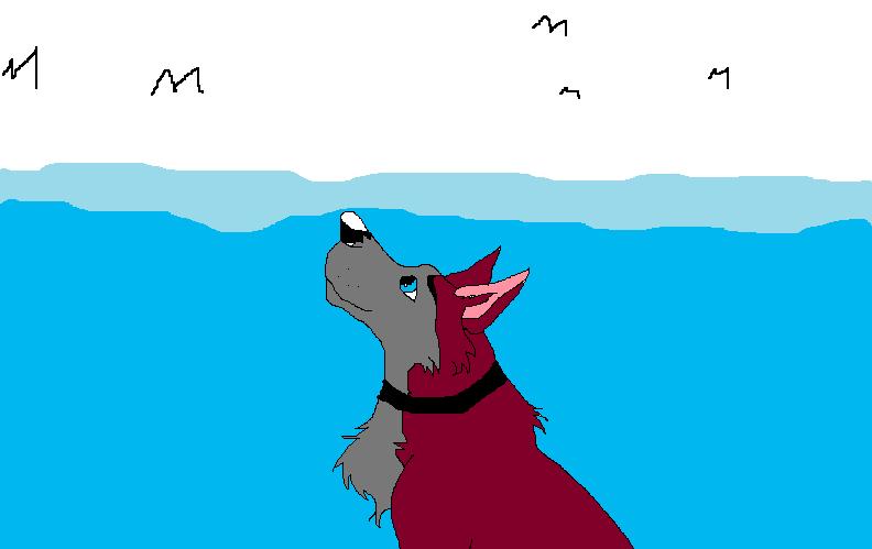 ray.jpg