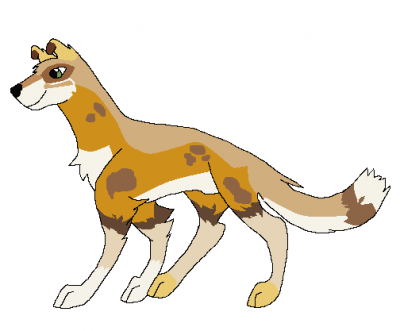 cody.png
