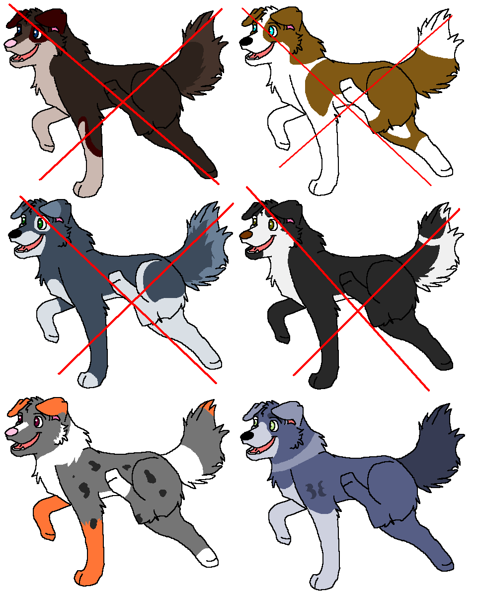 batch 10.PNG