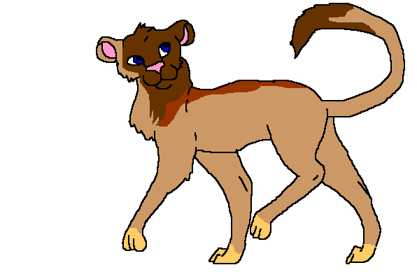 Lioness.GIF