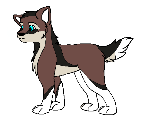 fanpup2.PNG
