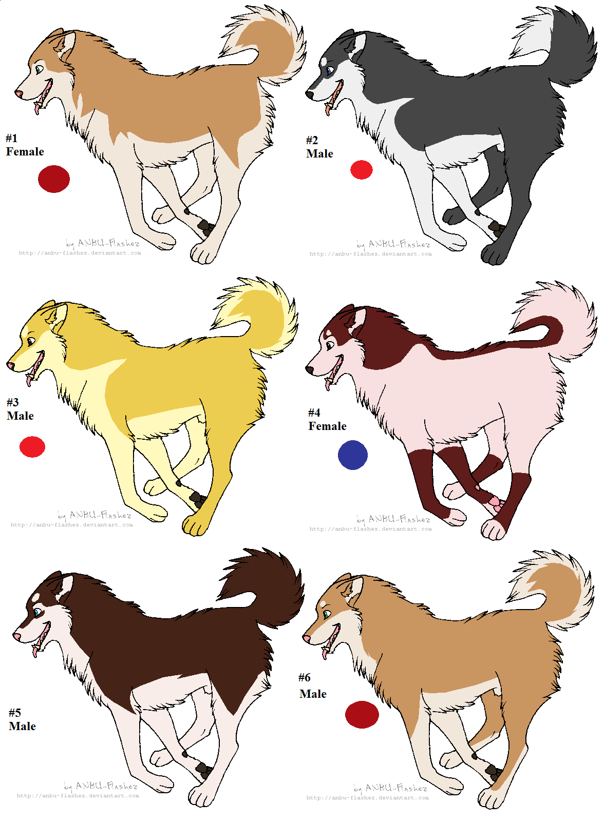 Malamute adoption.png