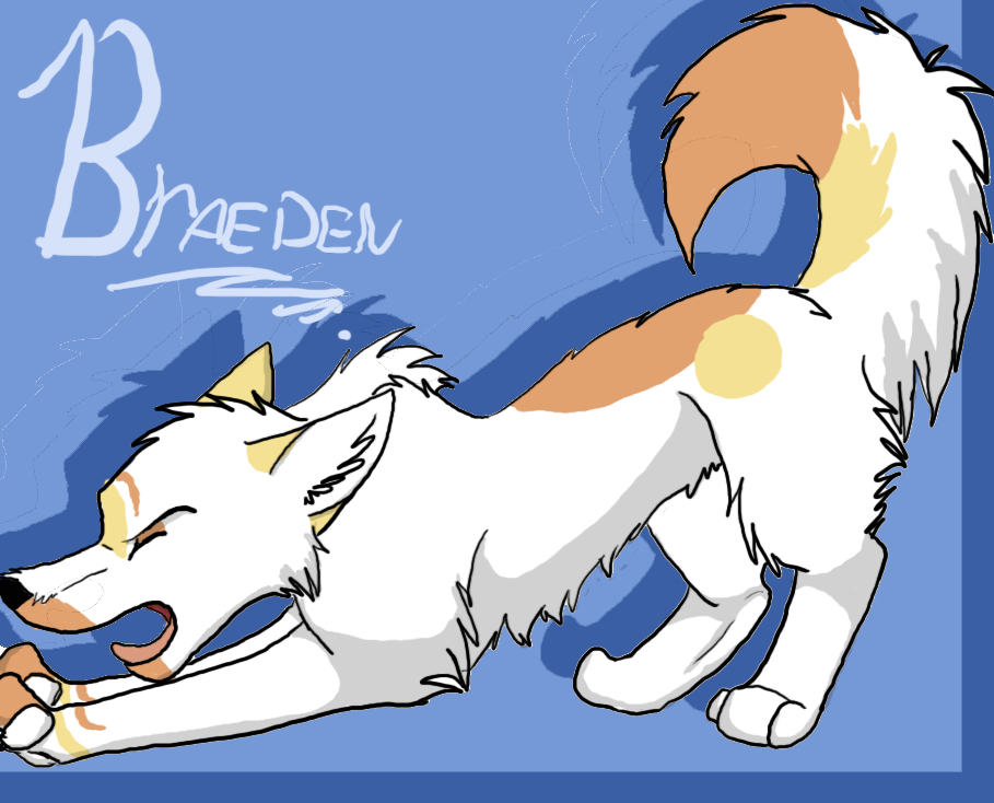 Braeden copy.png
