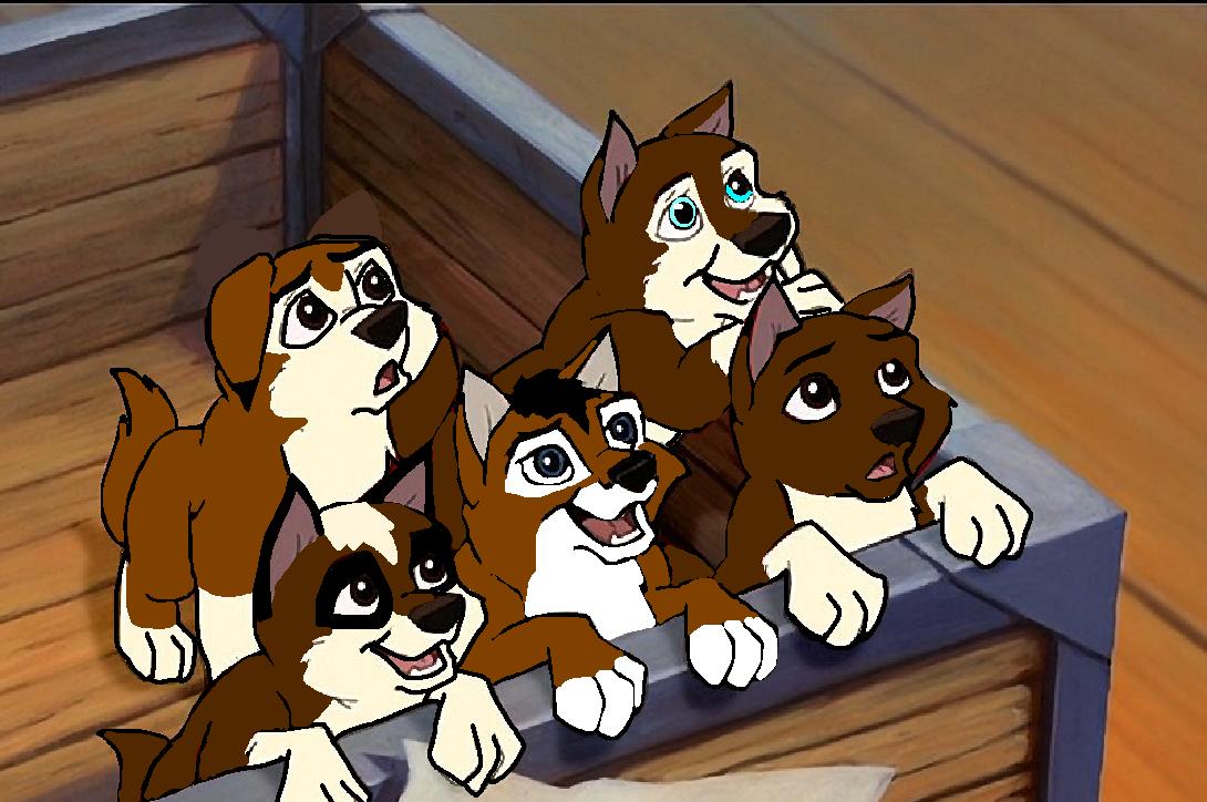 trigger pups stuff.JPG