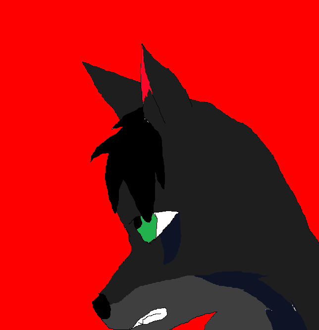 nica.png