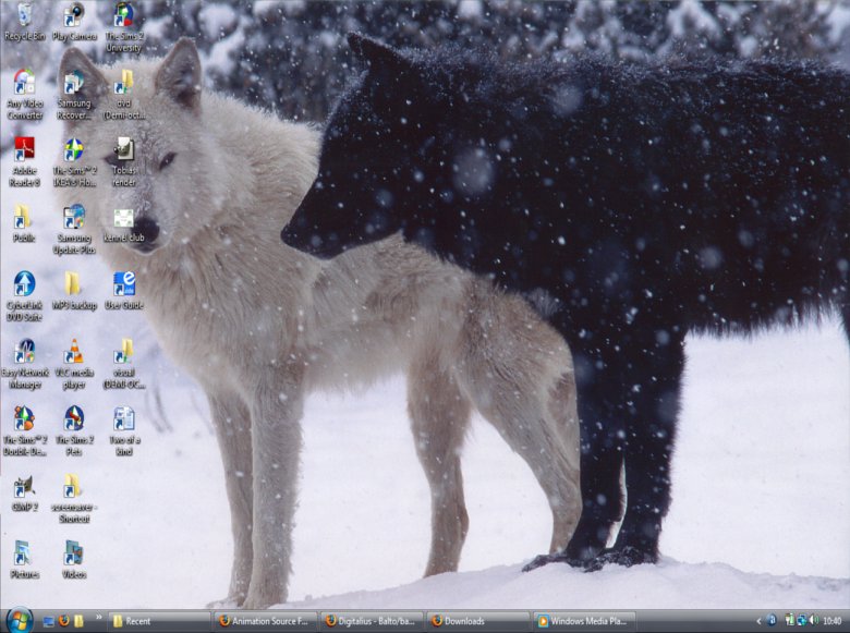 wolfdesktop.jpg