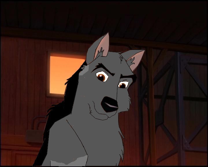 saske italian wolf-Kiro.jpg