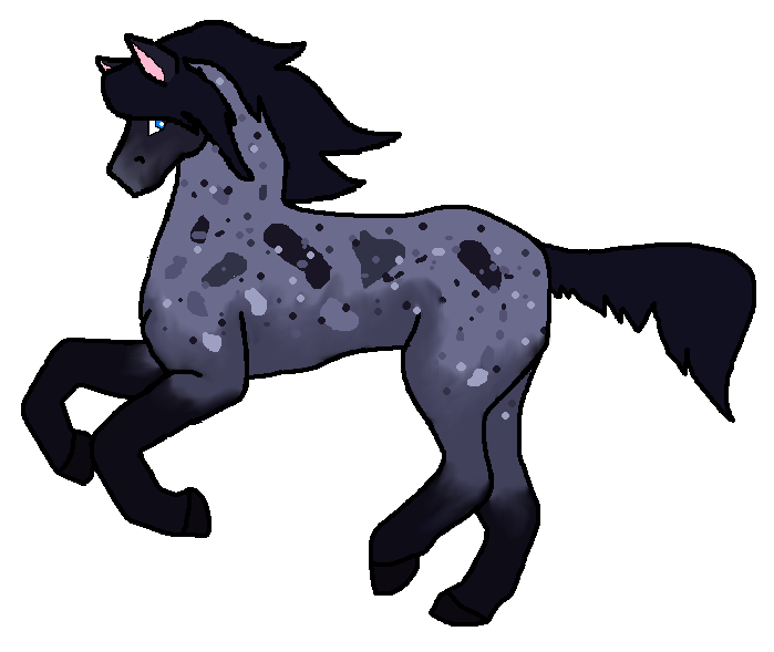 blueroan2.PNG