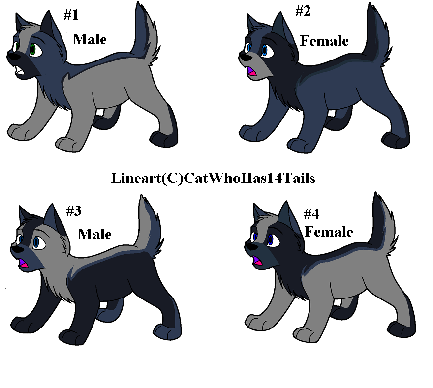 WhispersSibsForAdoption.PNG