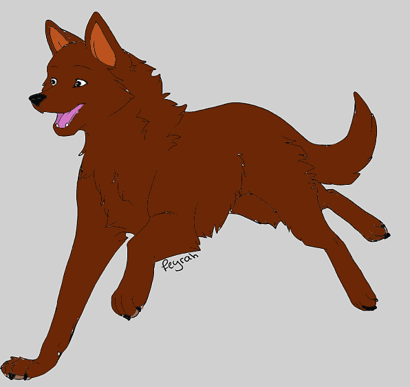 Picture 1.png
