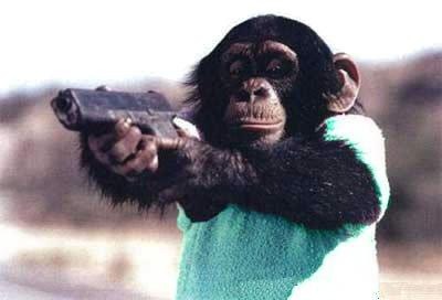 monkey-gun.jpg