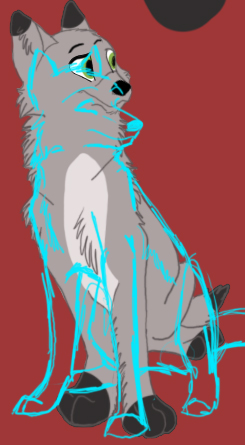 Untitled-4.jpg