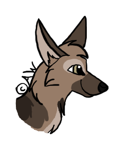 Danni - headshot entry finished.png