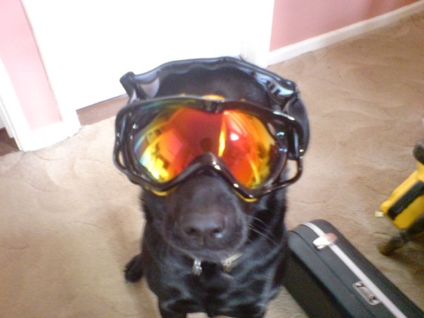 Harvey with babes goggles.jpg