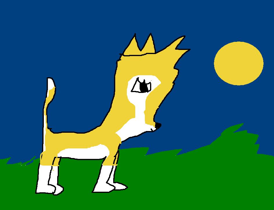 Chip.JPG