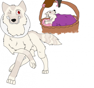 wa.png