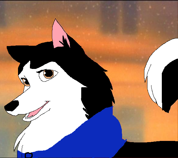 fffqqqaaasd.png