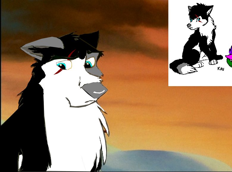 Appollo.jpg