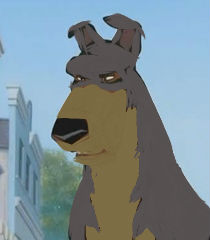 Bandit head.jpg
