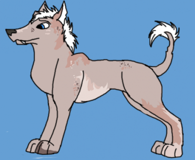 Hairless copy.png