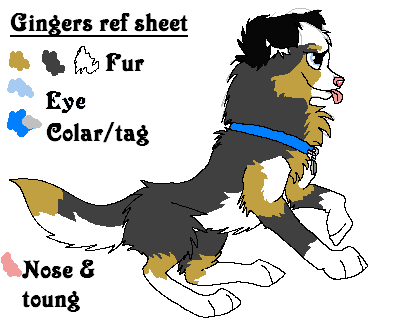 pup ginger.PNG