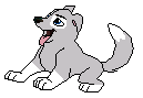 amore's pup.PNG