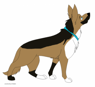 pic_detail4eae49cec08b7.png
