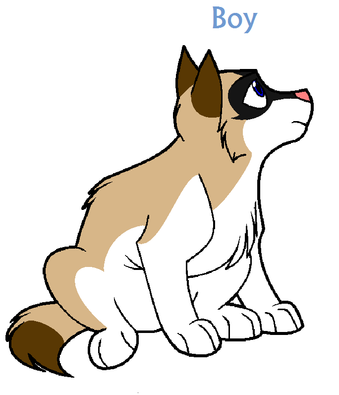untitled.PNG