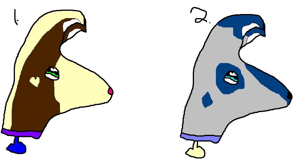 88.JPG
