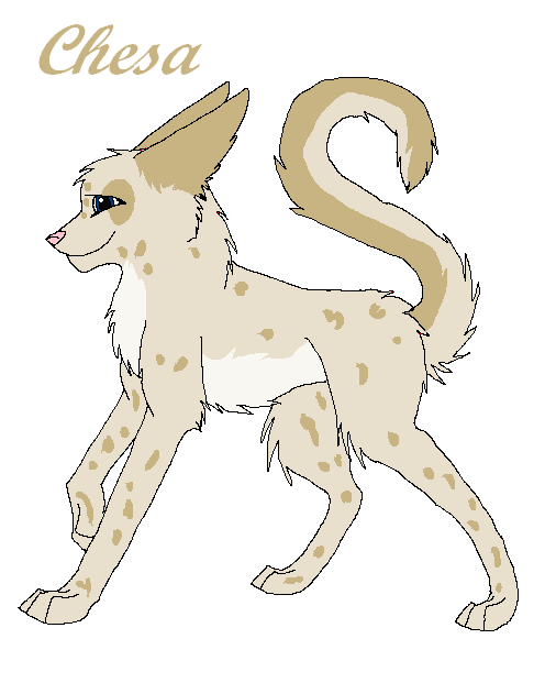 chesa.PNG