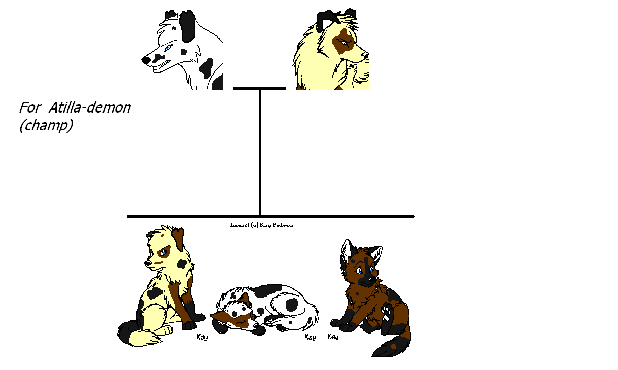 fadc.PNG