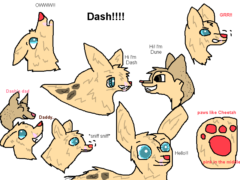 a adash.png
