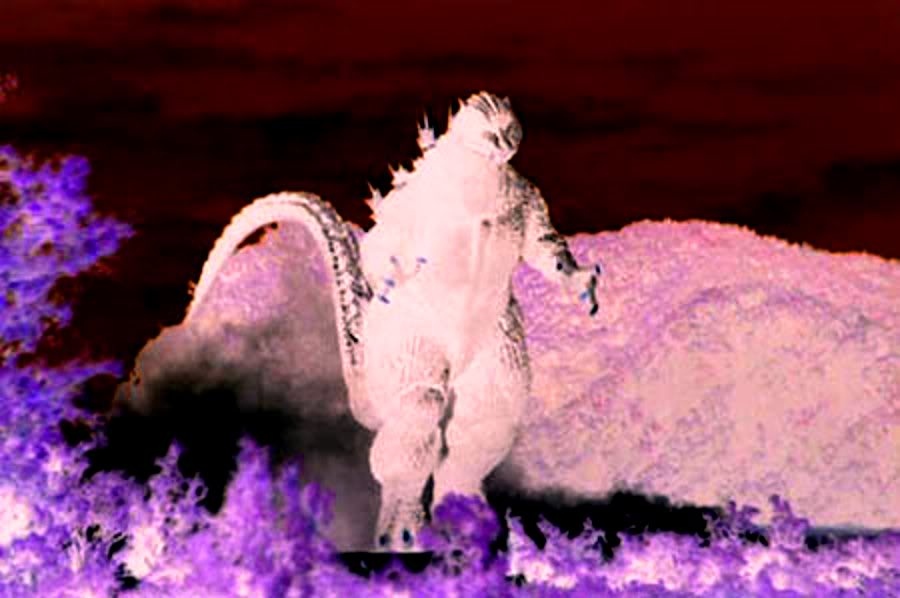 g1.jpg