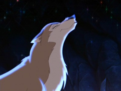 balto2_163.JPG.jpg