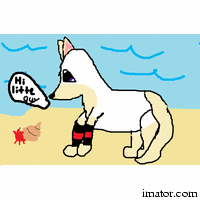 imator_animation.gif