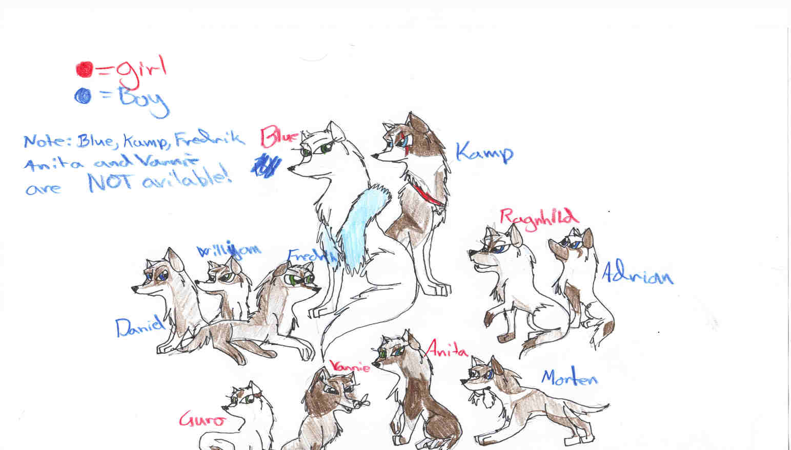 puppies3408958174-iaza.jpg