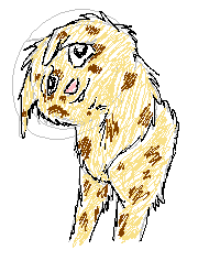 cookie.PNG