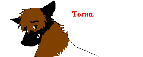toran.PNG