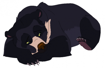 Spectacled Bear for TBBS.PNG