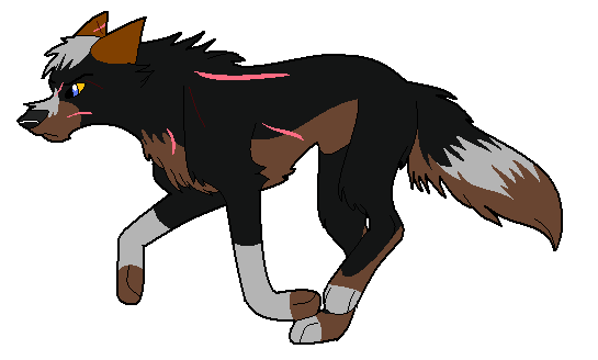 Neydan colored.png