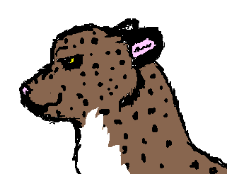 cheetah 4.PNG