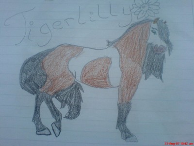 tigerlilly_by_skylarks_song.jpg