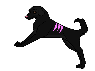 bnsmkvj.PNG